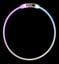Hond Halsband Raina Visio image 4