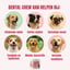 Dental – 60 Dog Chews - Rich in Eucalyptus & Brown Algae image 4