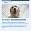 Hip & Joint – 60 Dog Chews - Rich in Glucosamine & Green-lipped Mussel image 6