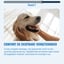 Hip & Joint – 60 Dog Chews - Rich in Glucosamine & Green-lipped Mussel image 7