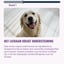 Calming - 60 Dog Anti-Stress Chews - Rich in Lemon Balm & Magnesium image 6