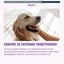 Calming - 60 Dog Anti-Stress Chews - Rich in Lemon Balm & Magnesium image 7