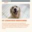 Skin & Coat – 60 Dog Chews - Rich in Biotin & Omega 3 image 6