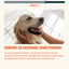 Skin & Coat – 60 Dog Chews - Rich in Biotin & Omega 3 image 7