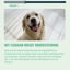 Digestion – 60 Dog Chews - Rich in Probiotics & Prebiotic Fibers image 11