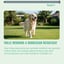 Digestion – 60 Dog Chews - Rich in Probiotics & Prebiotic Fibers image 13