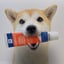 Enzymatic Dog Toothpaste - 1 Pack 100g image 6