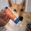 Enzymatic Dog Toothpaste - 1 Pack 100g image 7