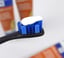 Enzymatic Dog Toothpaste - 1 Pack 100g image 10