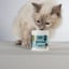 Hip & Joint Cats – 90 Chews with Fish image 8