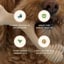 BetterBone Small Chew Toy image 6