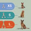 BetterBone Small Chew Toy image 3