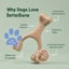BetterBone Mini Chew Toy image 2