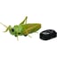 Crawla Toy image 3