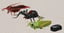 Crawla Toy image 1