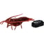 Crawla Toy image 4