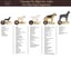 New! JUMBO SXL Red Deer Antler image 1