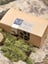 New! Venison Sausage Box image 2