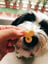 Rosemary Chicken image 1