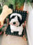 Large bone biscuits image 1