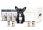 BOX PROTEICO Prova Tasty Pet image 9