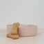 Lilly + Dash Ceramic Pet Bowls image 10