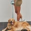 Lilly + Dash Boucle Dog Leash image 5