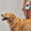 waste bag holders image 4