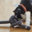 knot toys image 1