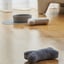 Lilly + Dash Boucle Bone Toy image 5
