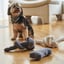 Lilly + Dash Boucle Bone Toy image 3