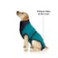 MAXX Dog Medical Pet Shirt | Peacock Blue Grey image 5