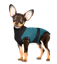 MAXX Dog Medical Pet Shirt | Peacock Blue Grey image 7