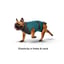 MAXX Dog Medical Pet Shirt | Peacock Blue Grey image 3