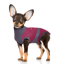 MAXX Dog Medical Pet Shirt | Ruby Red Grey image 8