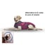 MAXX Dog Medical Pet Shirt | Ruby Red Grey image 1