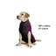MAXX Dog Medical Pet Shirt | Ruby Red Grey image 2
