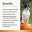 Organic Pumpkin Powder for Dogs 100g image 4