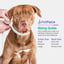PetPace Smart Health Collar – Advanced AI-Driven Health Monitoring for Dogs, Tracks Vitals, Stress, Activity, Sleep & More, Vet-Approved Wellness Tracking, Early Alerts & Smart Data Sharing - Buy And Post Feedback on Amazon image 13