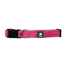 Hemp Dog Collars image 4