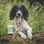 Probiotics for dogs image 6