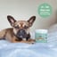 Probiotics for dogs image 3