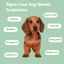 Probiotic chews for dogs image 4