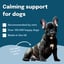 Calming support for dogs image 2