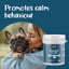 Calming support for dogs image 3