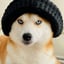 @aiko.the.explorer