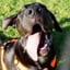 @tuko_presacanario
