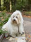 sanne-1411