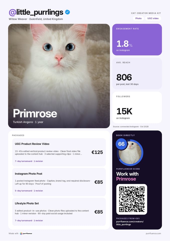 Example media kit: With packages and audience data