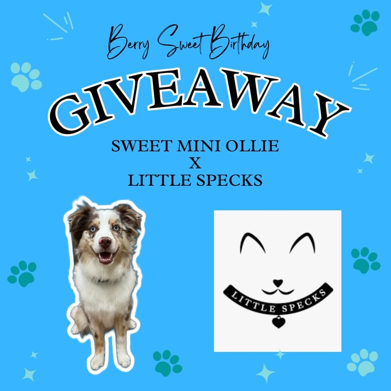 Pawsome prize bundle featuring some of our favorite goodies